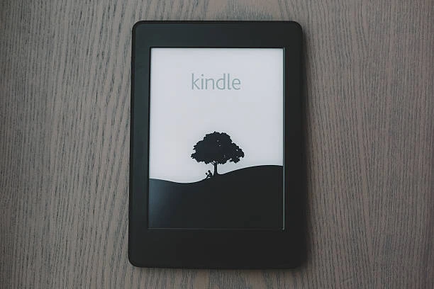 E-Readers ($100–$280)